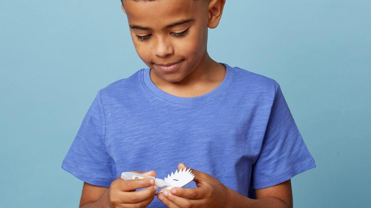 A boy gluing the numbered card slices of a EUGY Hedgehog 3D model kit together at a table