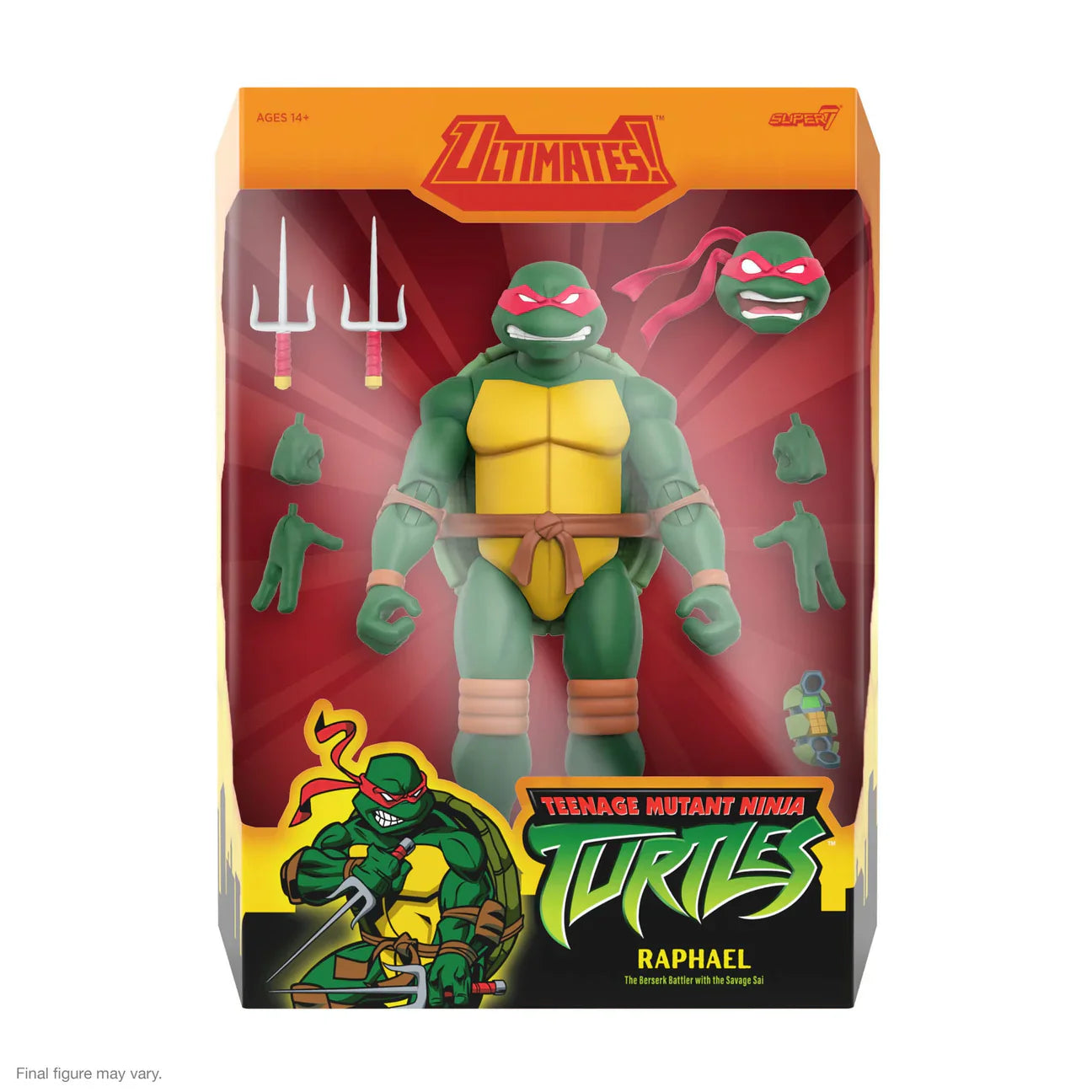 TMNT Action Figures