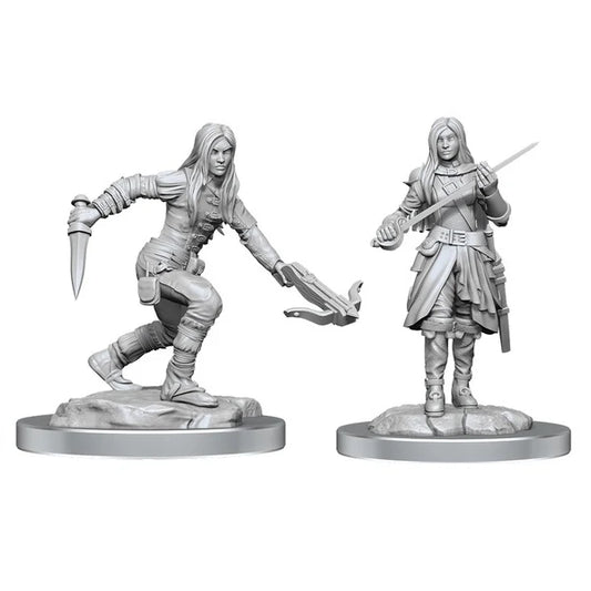 WizKids - D&D Nolzurs Marvelous Miniatures: Half-Elf Rogue Female - Wave 17 - Loaded Dice