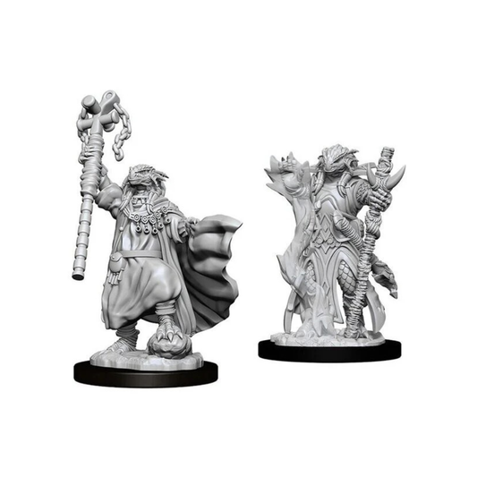 WizKids - D&D Nolzurs Marvelous Miniatures: Female Dragonborn Sorcerer - Wave 8 - Loaded Dice