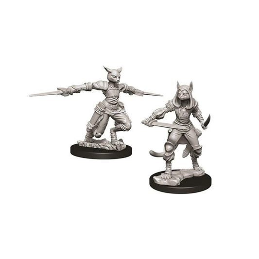WizKids - D&D Nolzurs Marvelous Miniatures: Female Tabaxi Rogue - Wave 9 - Loaded Dice