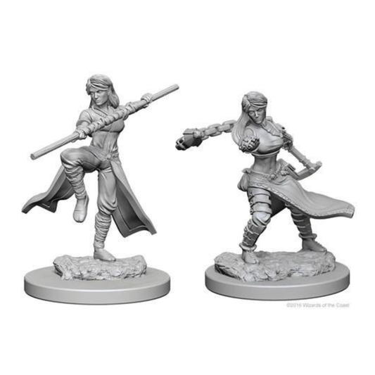 Human Female Monk: D&D Nolzur's Marvelous Unpainted Miniatures (W1) - Loaded Dice