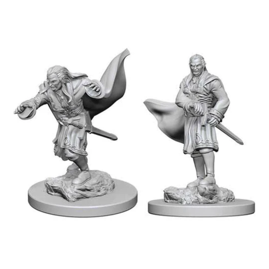 Vampires: D&D Nolzur's Marvelous Unpainted Miniatures (W1) - Loaded Dice