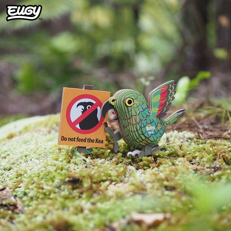 EUGY Kea 3D cardboard model kit - built model on display