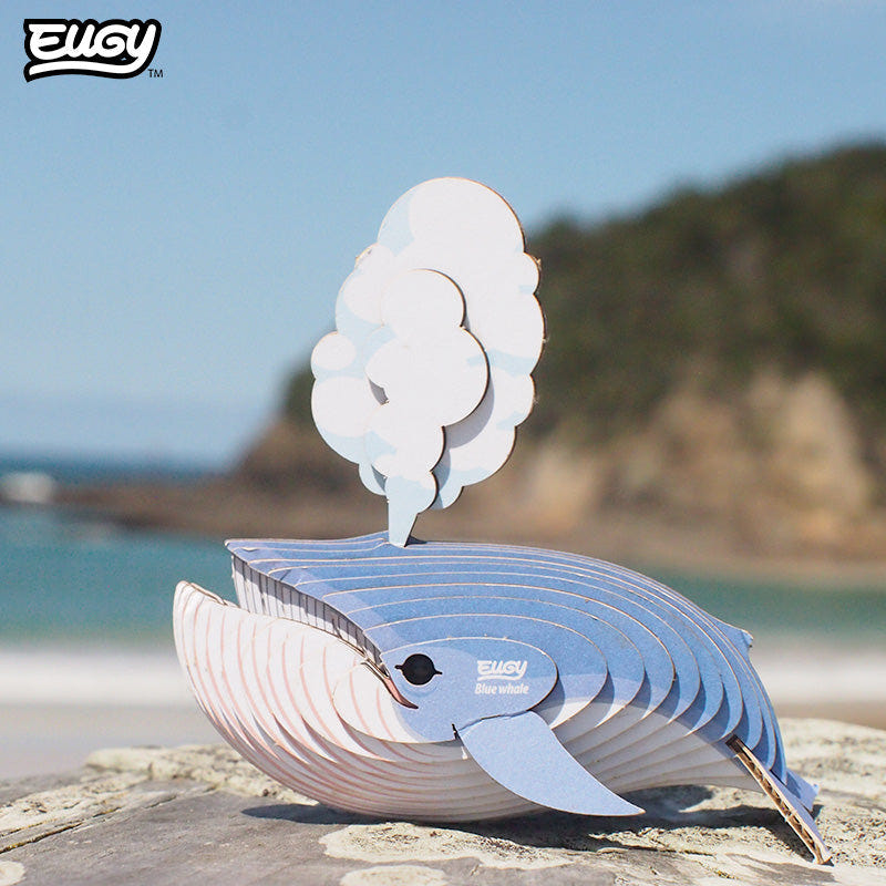 EUGY Blue Whale 3D cardboard model kit - built model on display