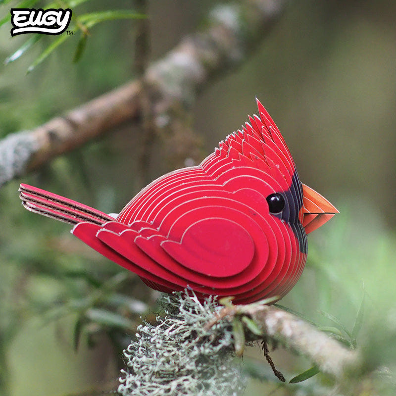 EUGY Cardinal 3D cardboard model kit - built model on display