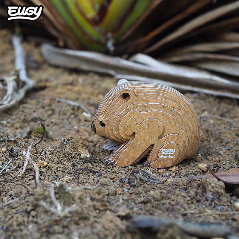 EUGY Wombat 3D cardboard model kit - built model on display