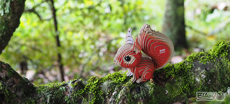 EUGY Squirrel - Loaded Dice