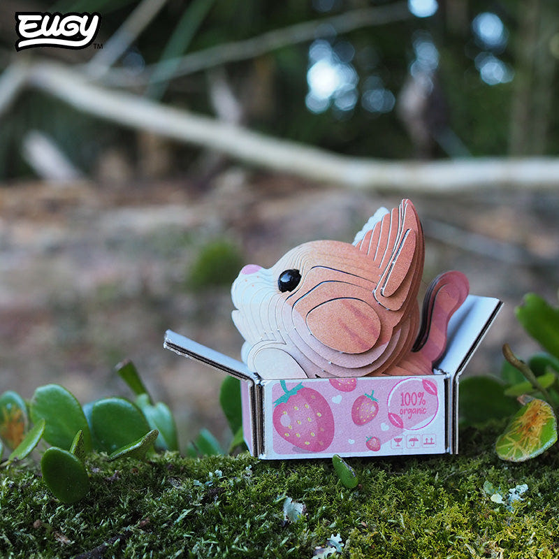 EUGY Cat - Pumpkin 3D cardboard model kit - built model on display