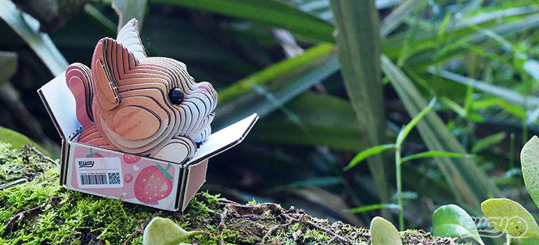 EUGY Cat - Pumpkin - Loaded Dice