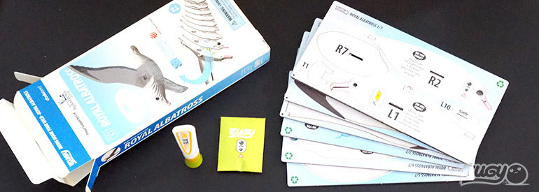 EUGY Royal Albatross - Loaded Dice