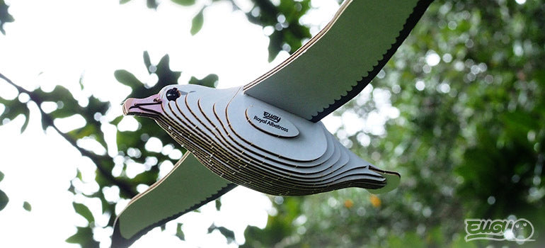 EUGY Royal Albatross - Loaded Dice