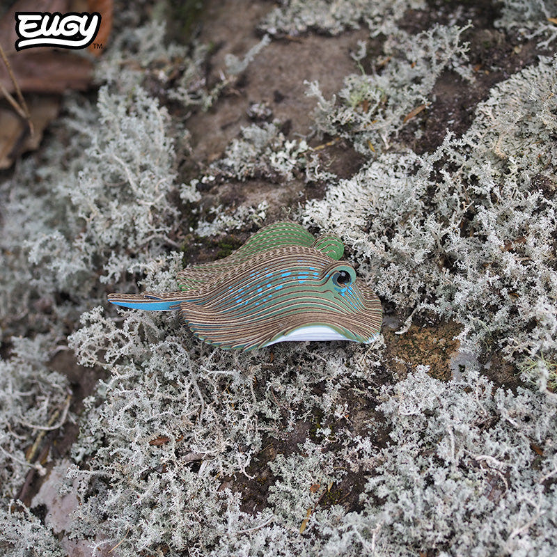 EUGY Stingray 3D cardboard model kit - built model on display