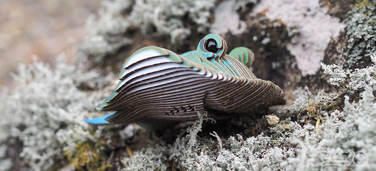 EUGY Stingray - Loaded Dice