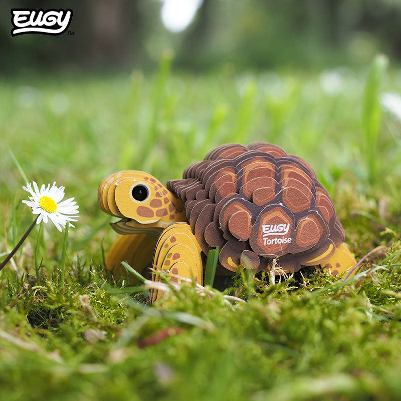 EUGY Tortoise 3D cardboard model kit - built model on display