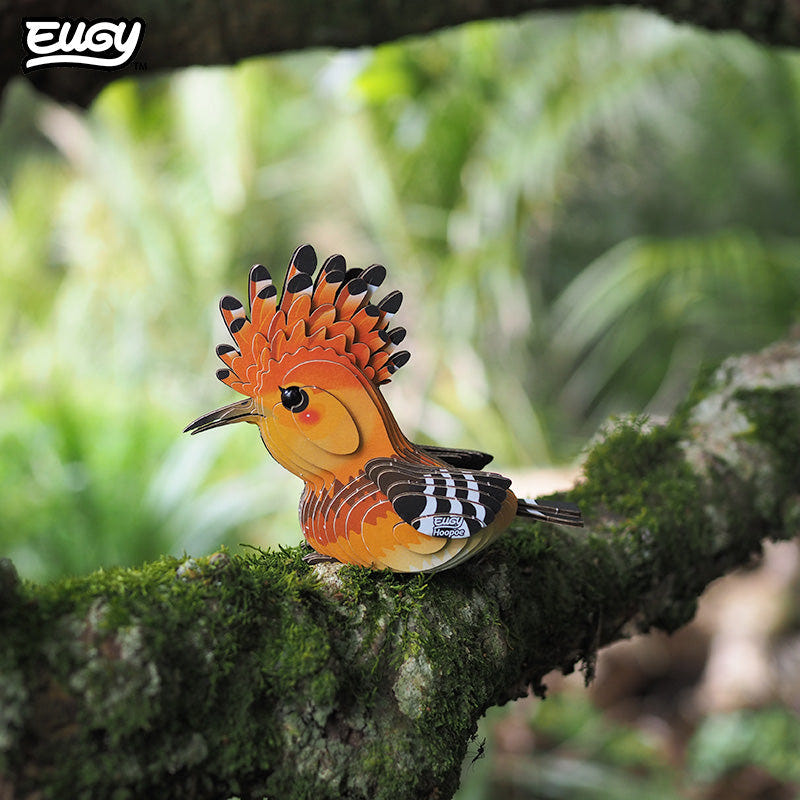 EUGY Hoopoe 3D cardboard model kit - built model on display