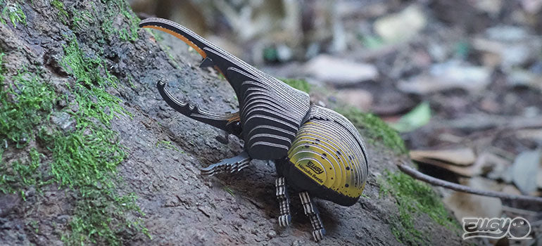 EUGY Hercules Beetle - Loaded Dice