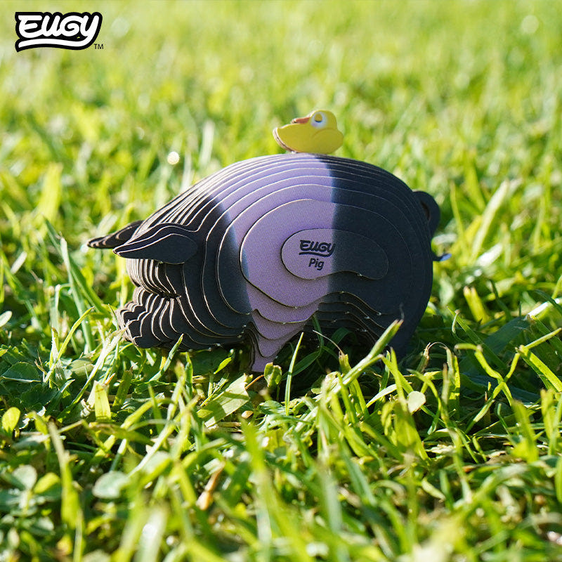 EUGY Pig 3D cardboard model kit - built model on display