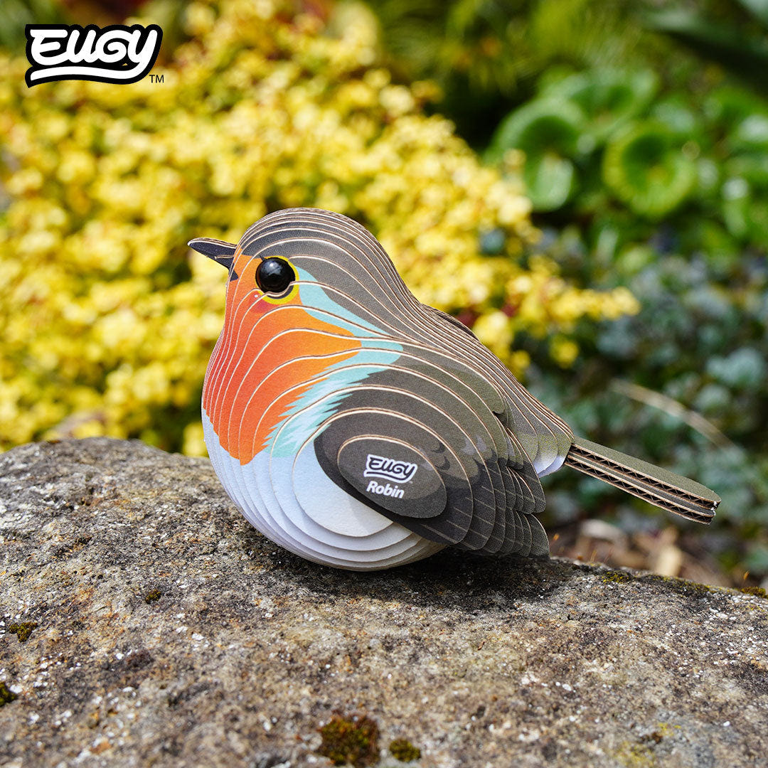 EUGY Robin 3D cardboard model kit - built model on display