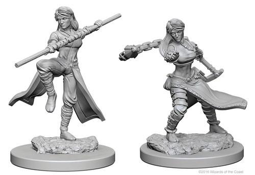 Human Female Monk: D&D Nolzur's Marvelous Unpainted Miniatures (W1) - Loaded Dice