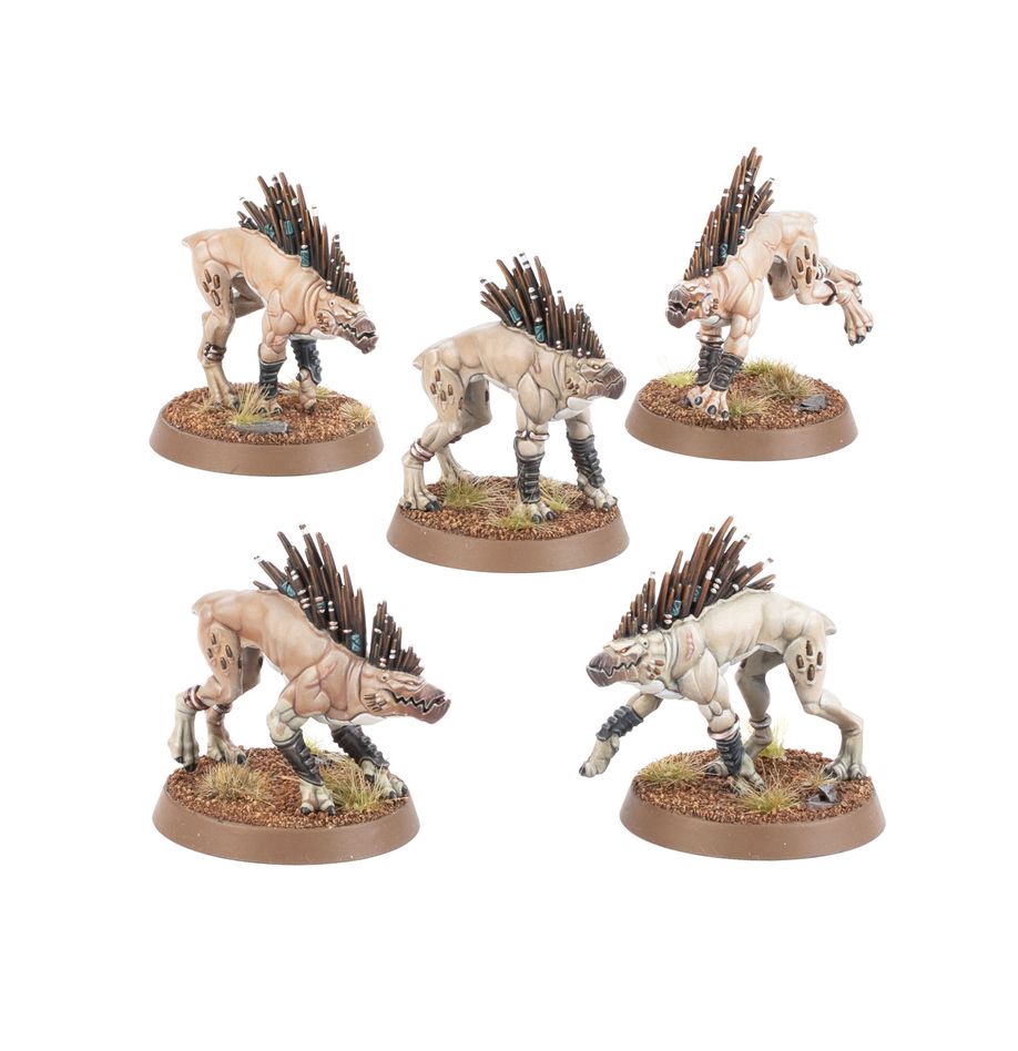 T'au Empire: Kroot Hounds - Loaded Dice