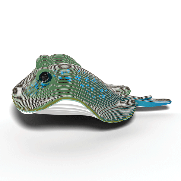 EUGY Stingray - Loaded Dice