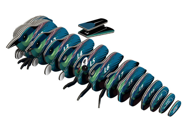 EUGY Koko Tui 3D card model kit — exploded view of the card pieces