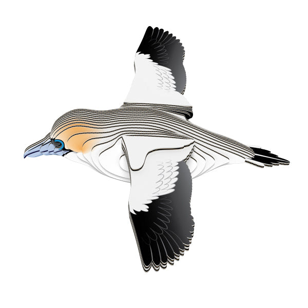 EUGY Gannet 3D card model, wings spread