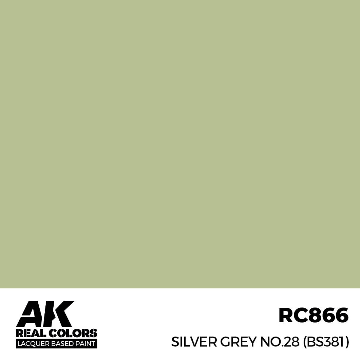 AK Interactive Real Colors - Silver Grey No.28 (BS381)