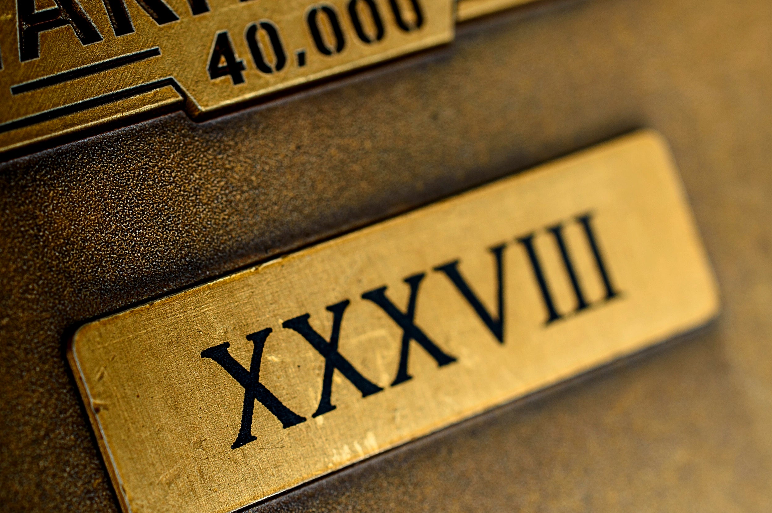 Warhammer: Astra Militarum Commissar Yarrick Ingot - Loaded Dice