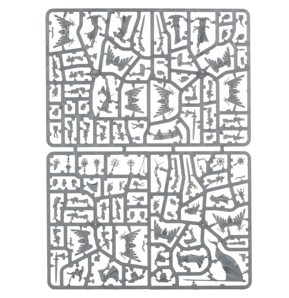 Adepta Sororitas: Seraphim Squad sprue contents - Loaded Dice
