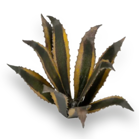 Gamers Grass Laser Plants - Agave - Loaded Dice