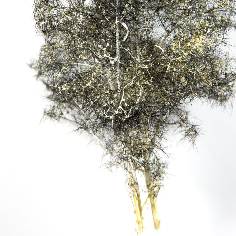 AK Interactive Black-White Fantasy Bush showing its trunk and lower branches