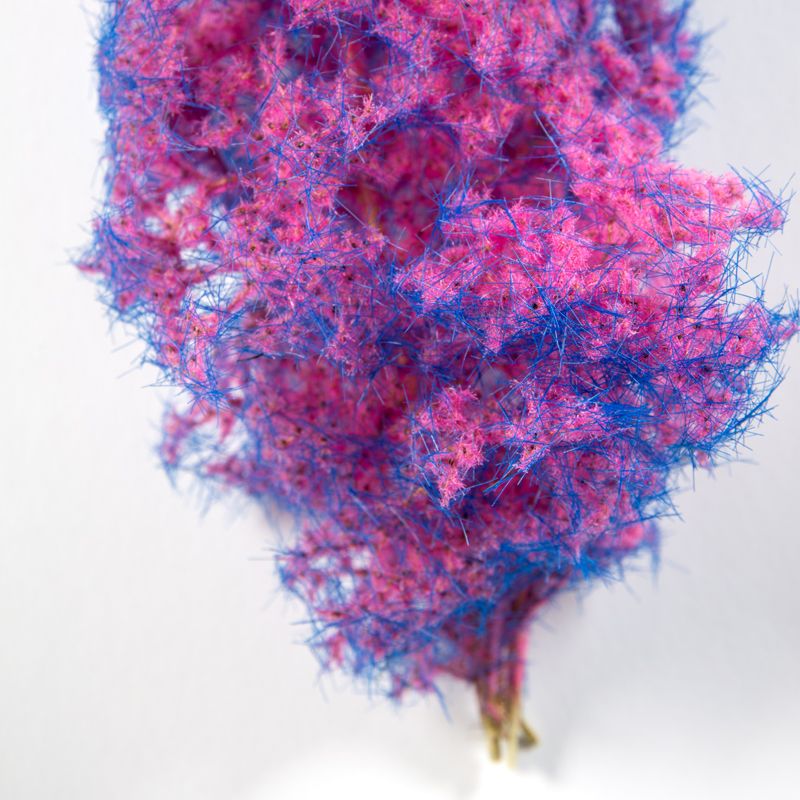 AK Interactive Blue-Pink Fantasy Bush AK8264, full view of one bush on its stem