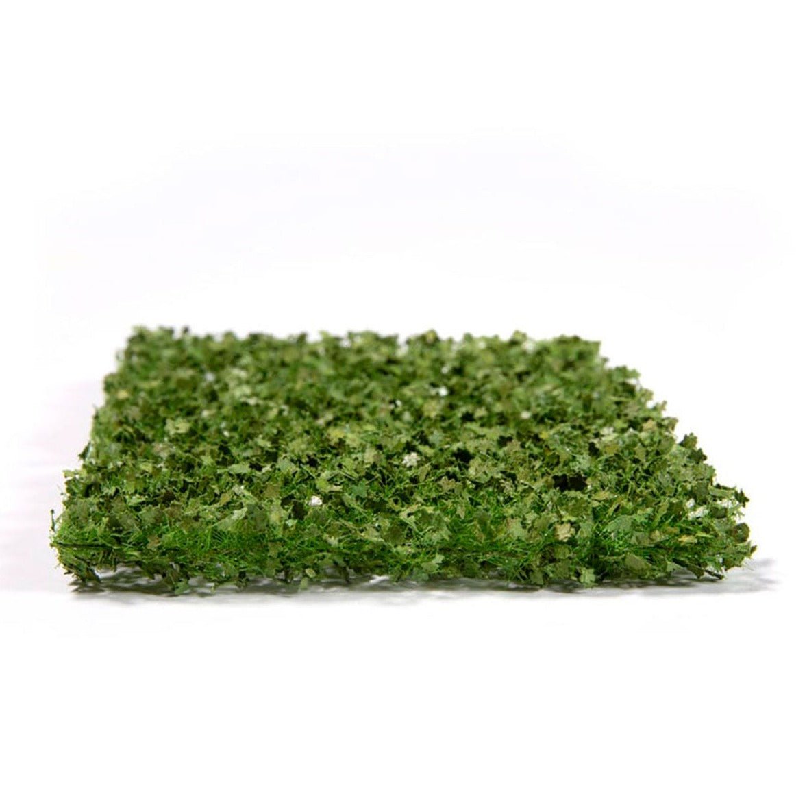 AK Interactive Platane Foliage Summer green leaf sheet from a low angle showing texture