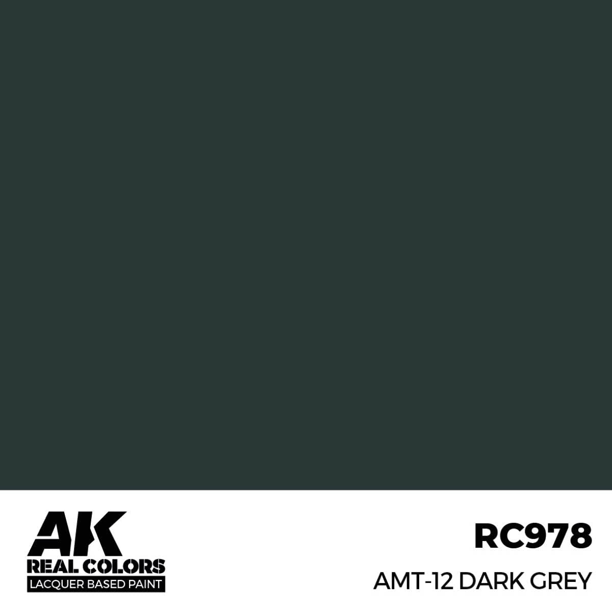 AK Interactive Real Colors - AMT-12 Dark Grey - Loaded Dice