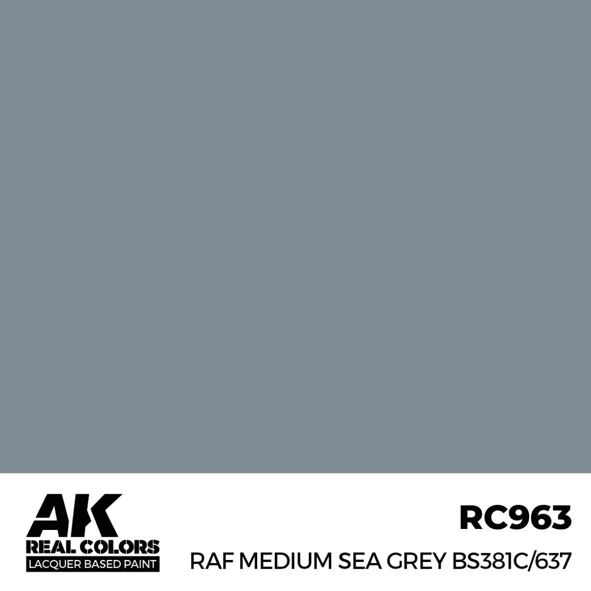 AK Interactive Real Colors - RAF Medium Sea Grey BS381C/637 - Loaded Dice