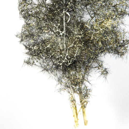 AK Interactive Black-White Fantasy Bushes 1/35 AK8265 - Loaded Dice