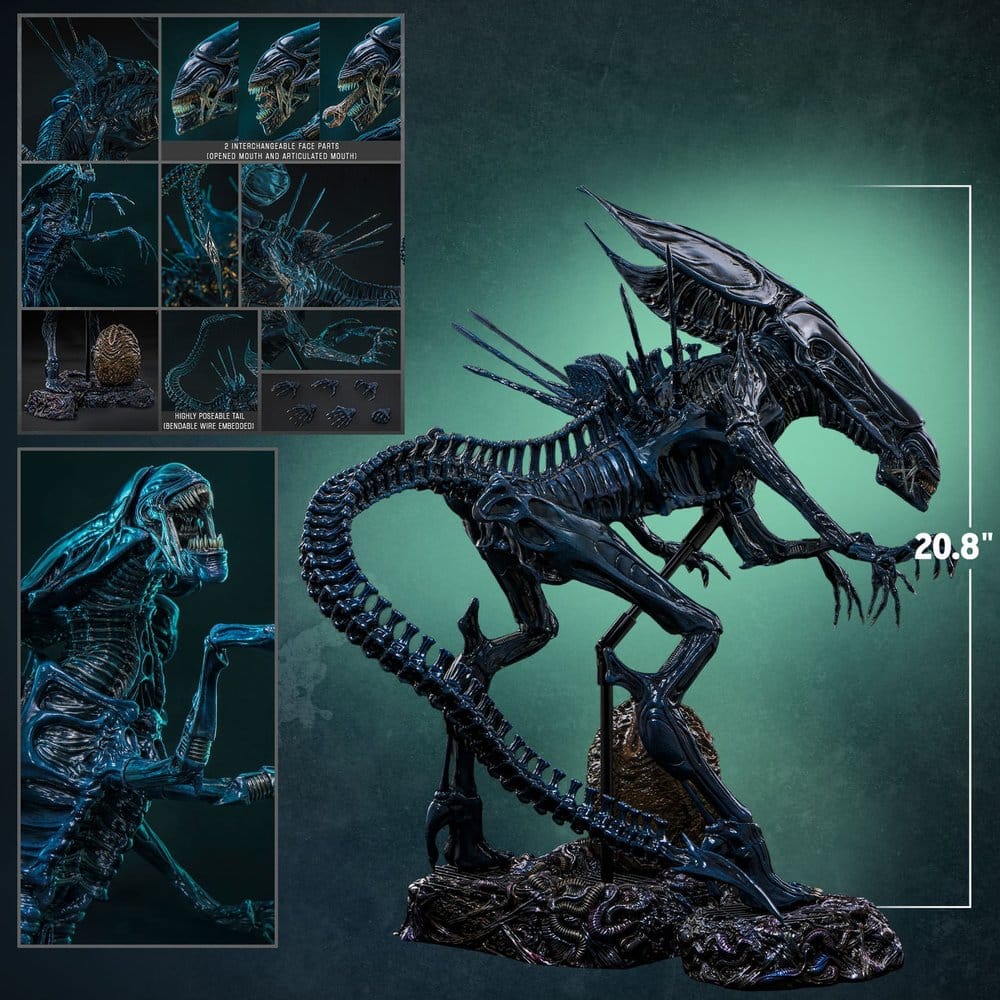 Hot Toys Alien Queen figure packaging and safety information