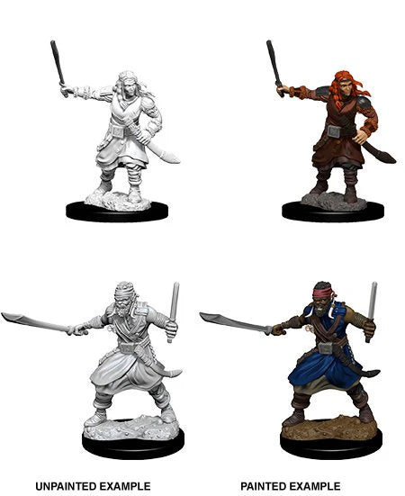 D&D Nolzur's Marvelous Miniatures: Bandits - Wave 8 - Loaded Dice
