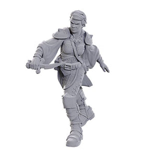 Wizkids - D&D Nolzurs Marvelous Miniatures: Wave 25 - Swashbuckler - Loaded Dice