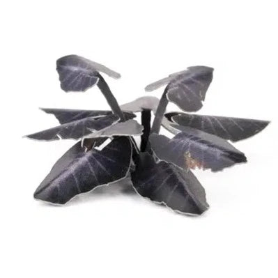 Gamers Grass Laser Plants - Black Magic Taro - Loaded Dice