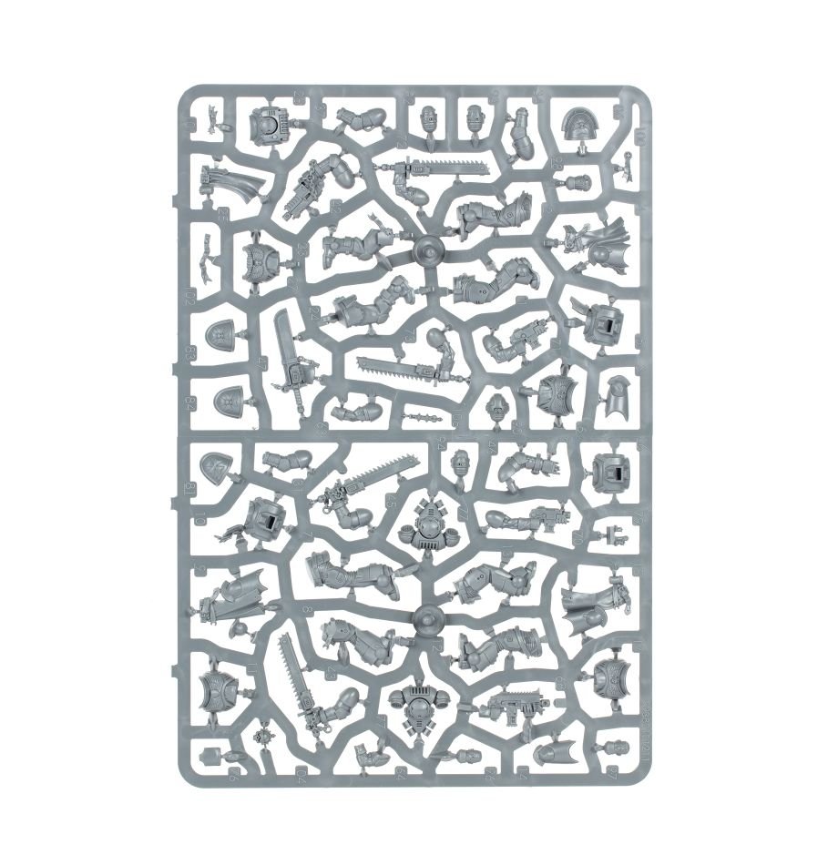 Black Templars: Primaris Crusader Squad sprue contents - Loaded Dice