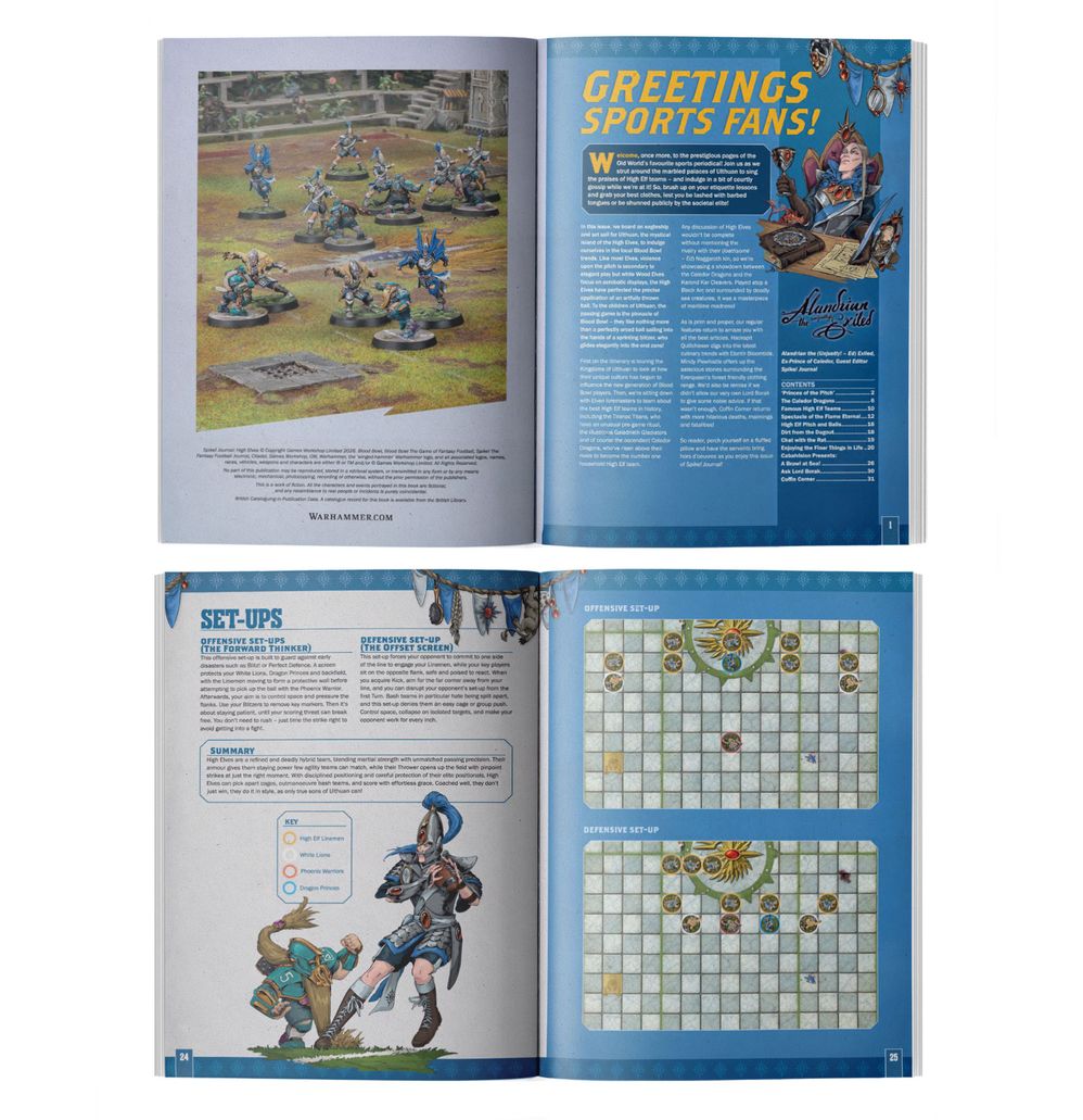 Blood Bowl Spike! Issue 21 interior pages with a painted team and pitch set-ups