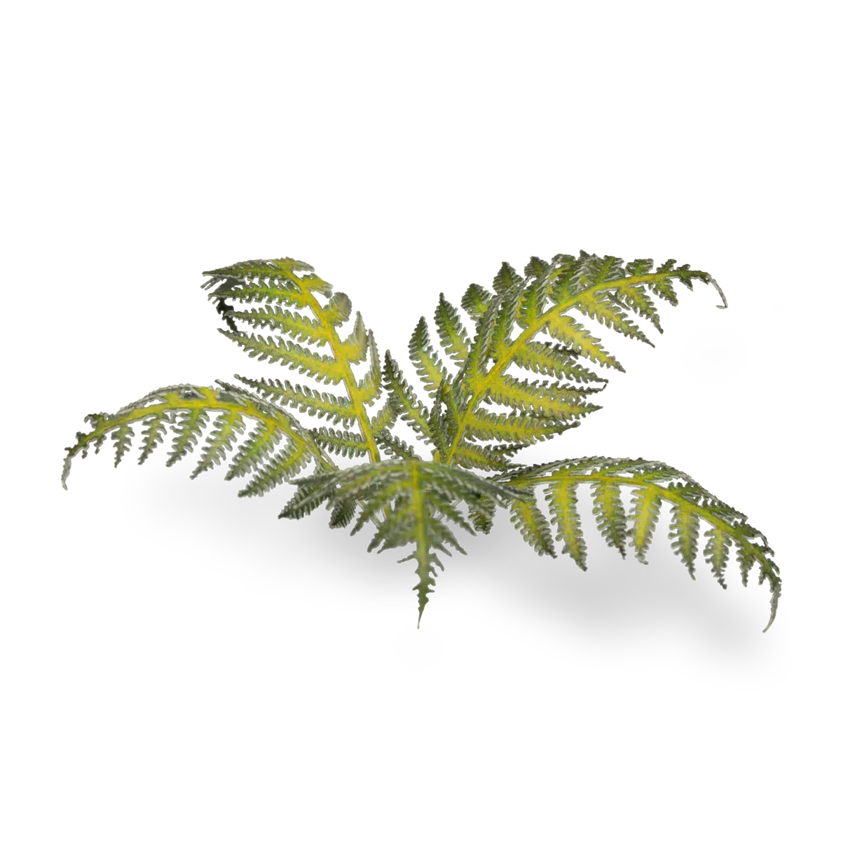 Gamers Grass Laser Plants - Bracken - Loaded Dice