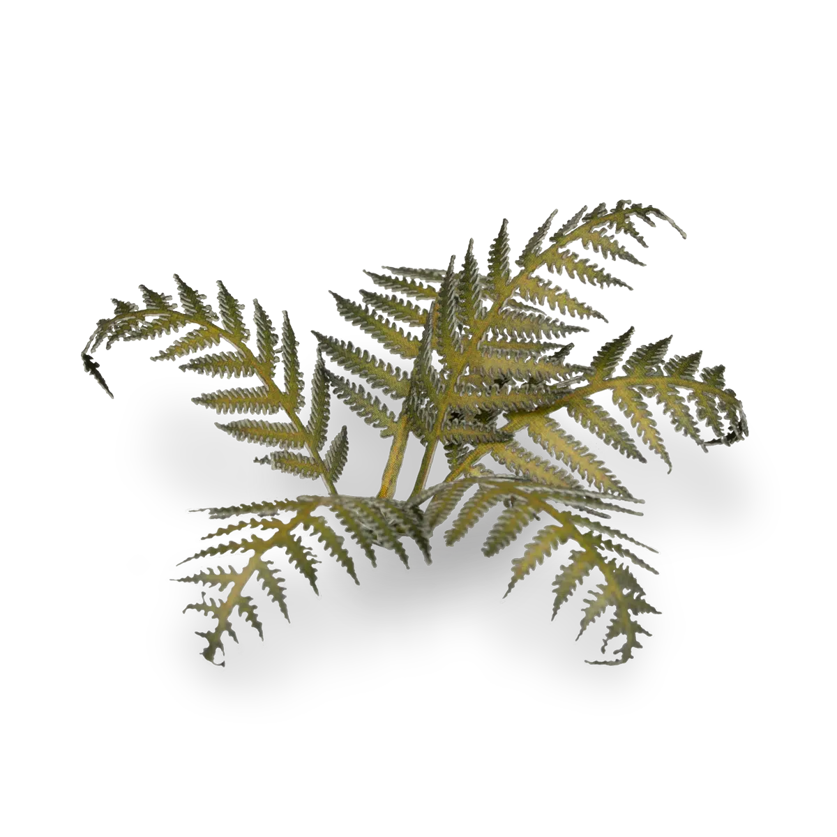 Gamers Grass Laser Plants - Bracken - Loaded Dice