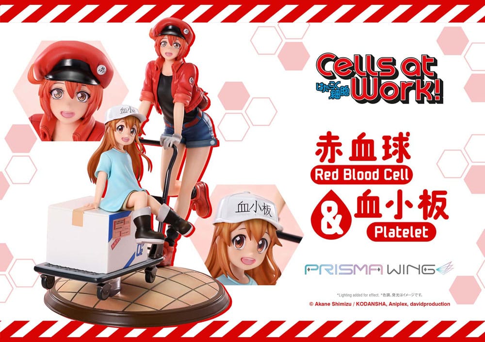 Cells at Work! Red Blood Cell and Platelet Prisma Wing banner, left half with close-ups