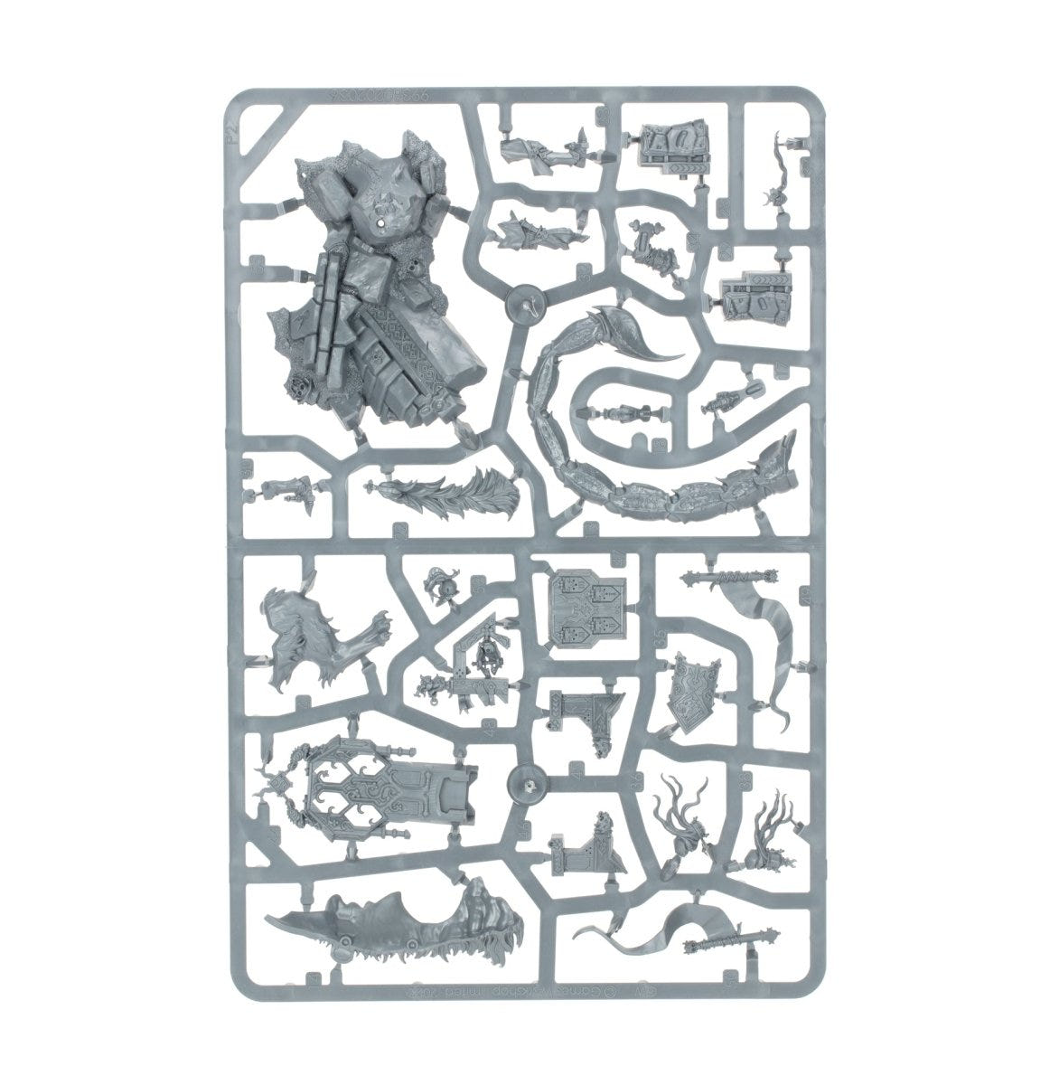 Cities of Sigmar Tahlia Vedra unpainted plastic sprue, frame 3 of 3