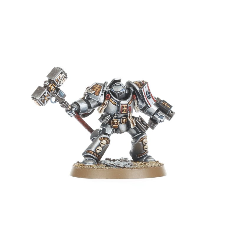 Combat Patrol: Grey Knights painted miniature - Loaded Dice