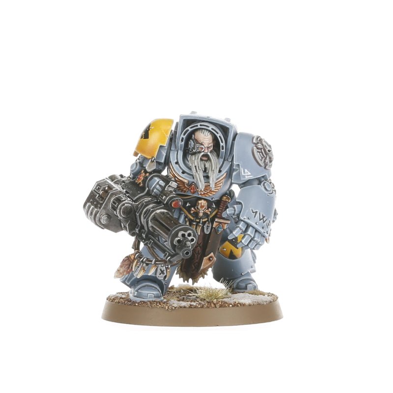 Combat Patrol: Space Wolves painted miniature - Loaded Dice